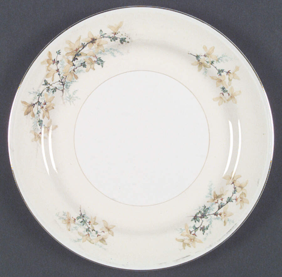 HLC1664 Dinner Plate by Homer Laughlin -1