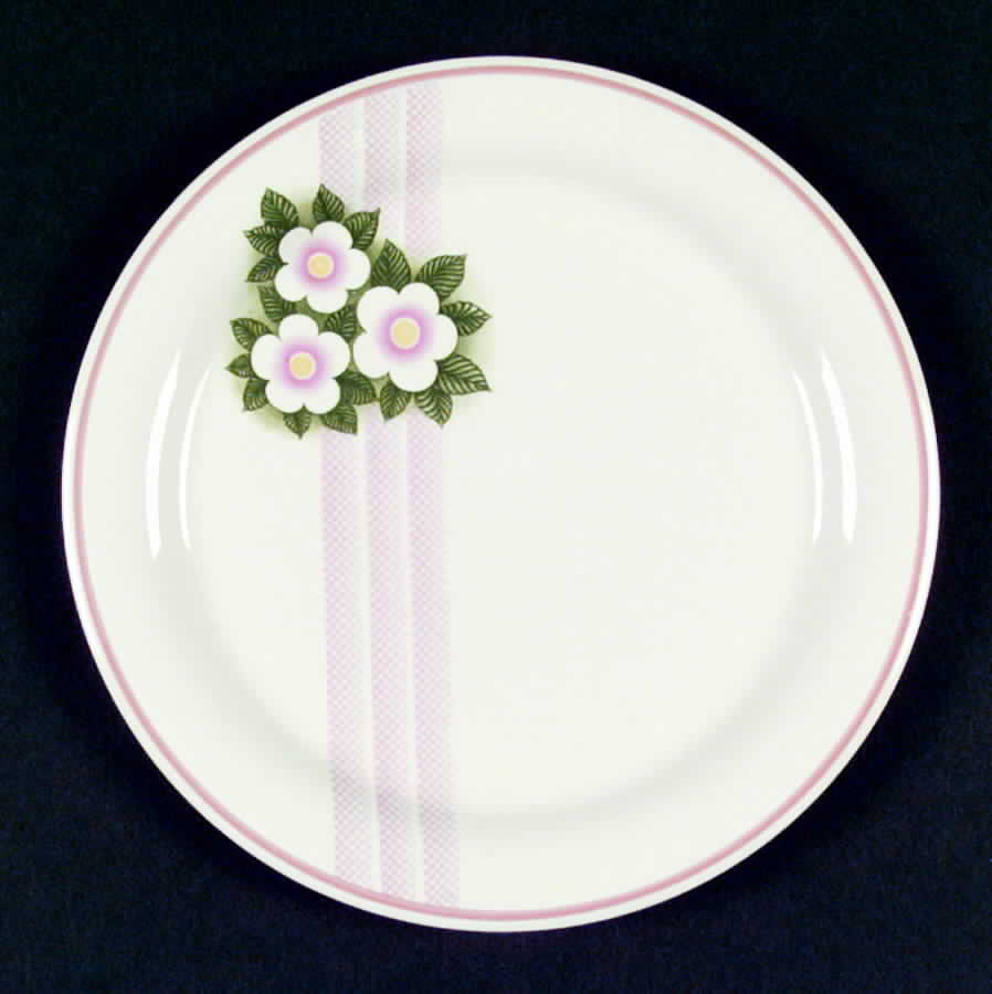 R2541 Dinner Plate by Homer Laughlin -1