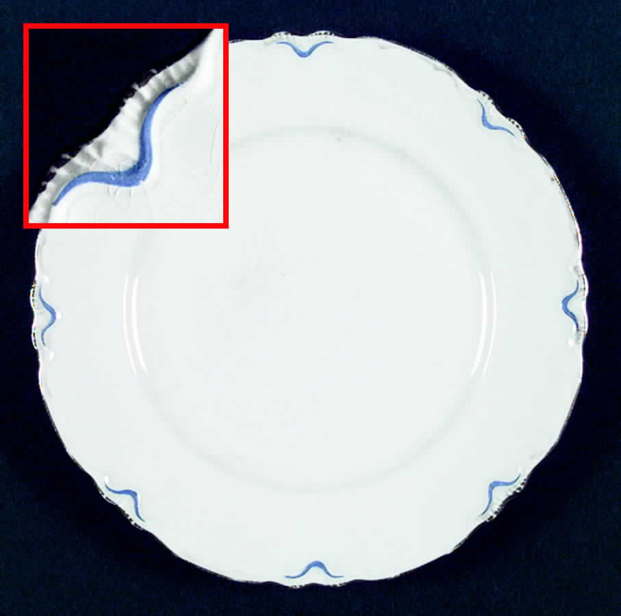 R5206 Dinner Plate by Homer Laughlin -1