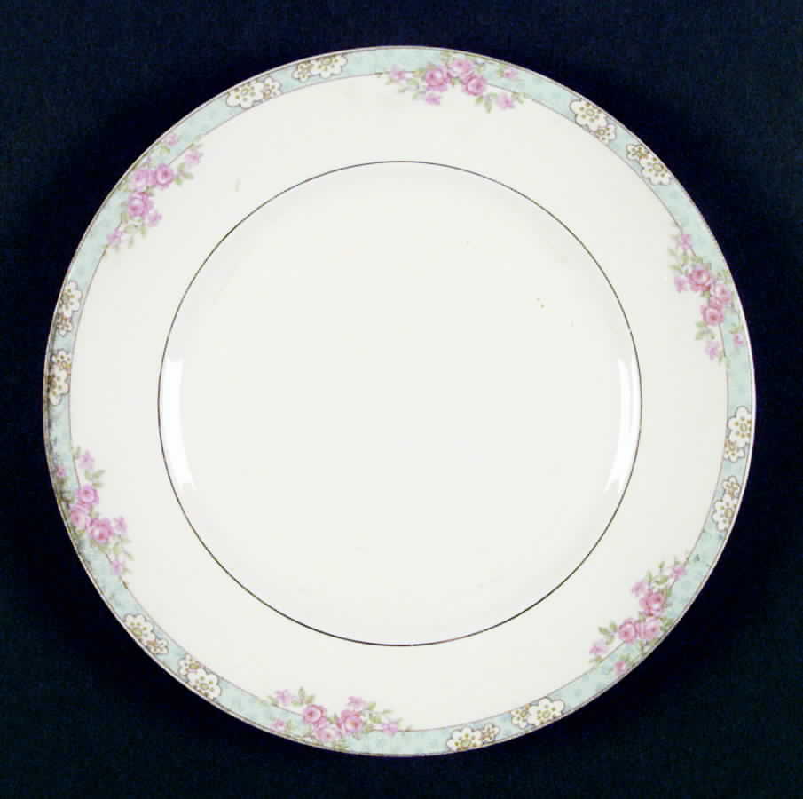 K9277m Dinner Plate by Homer Laughlin -1