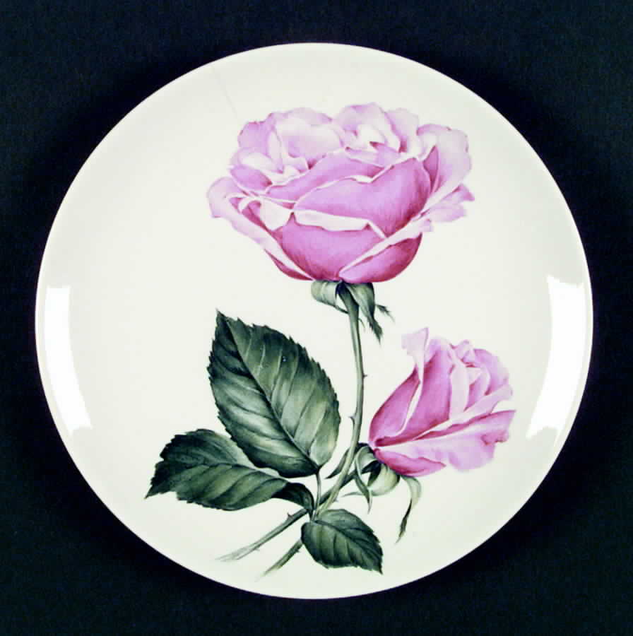 HLC1435 Dinner Plate by Homer Laughlin -1