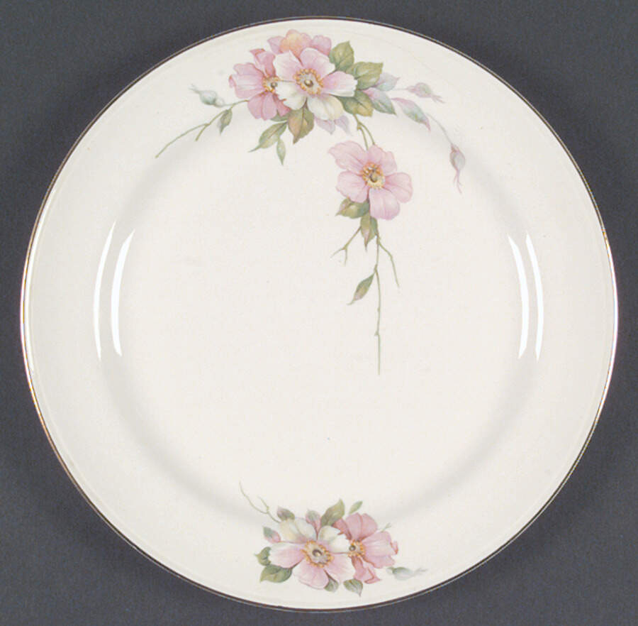 N1697 Dinner Plate by Homer Laughlin -1