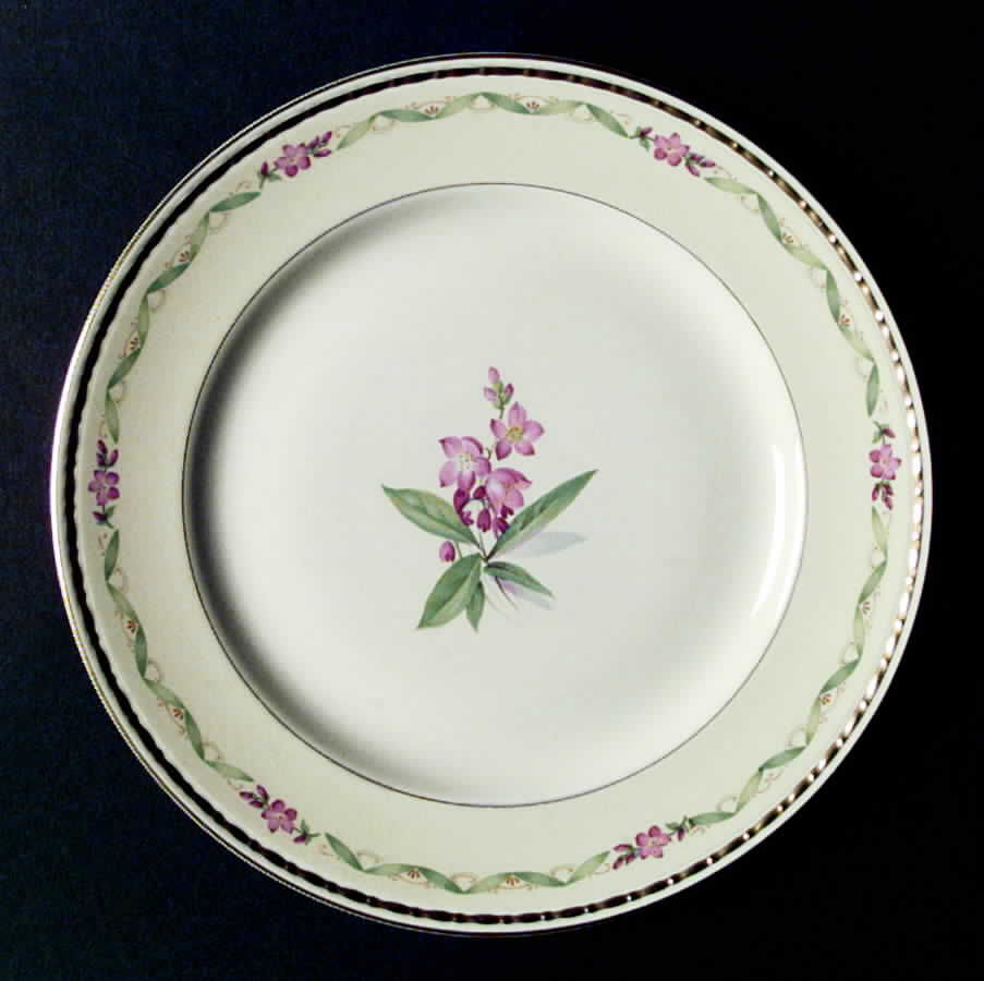 R6111 Dinner Plate by Homer Laughlin -1