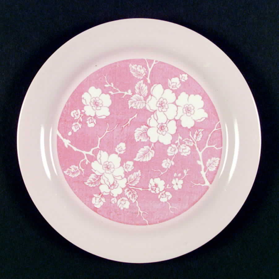 HLC1451 Dinner Plate by Homer Laughlin -1