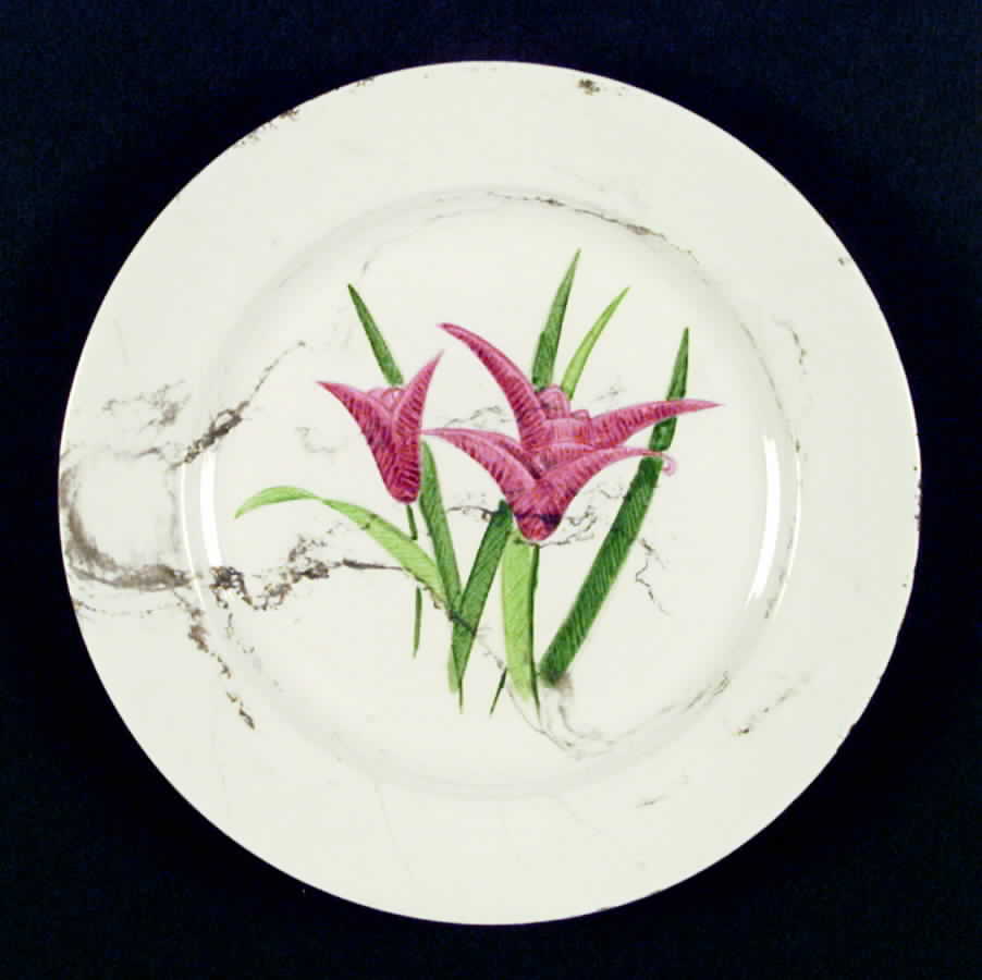 HLC1563 Dinner Plate by Homer Laughlin -1