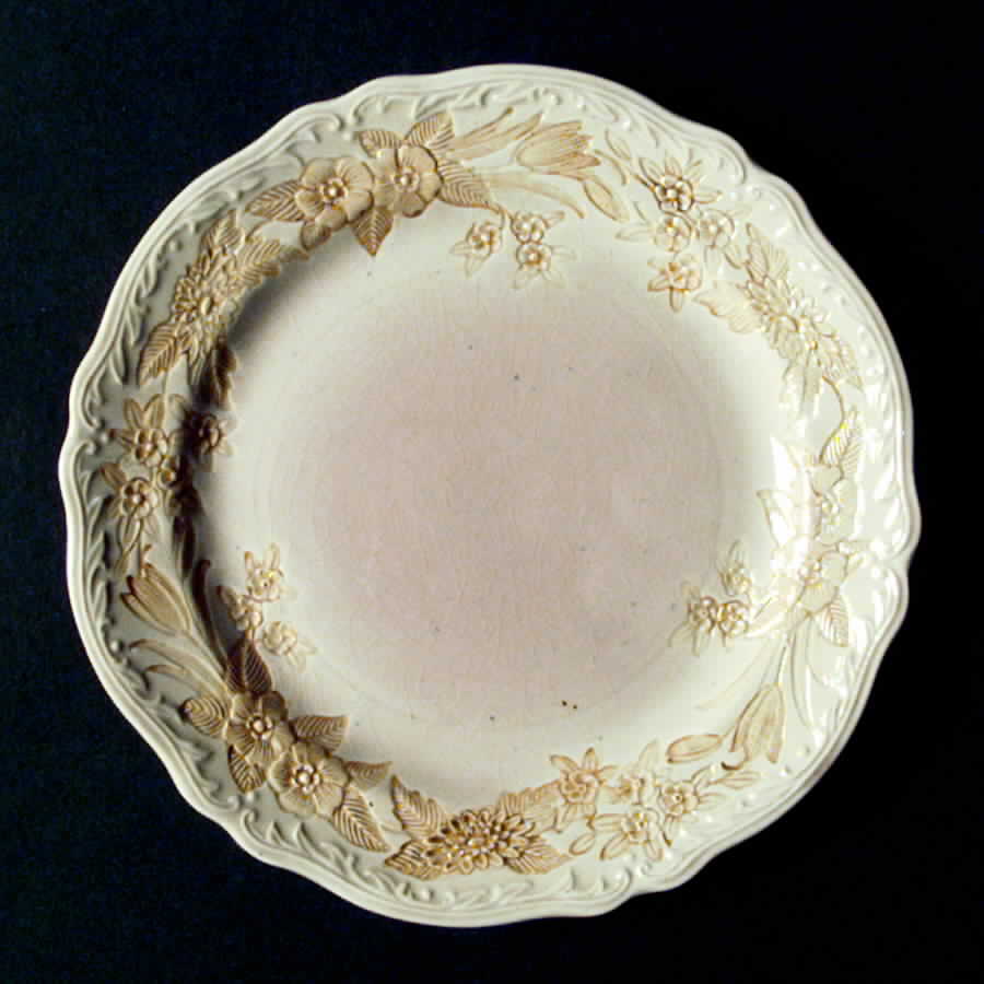 HLC1570 Dinner Plate by Homer Laughlin -1