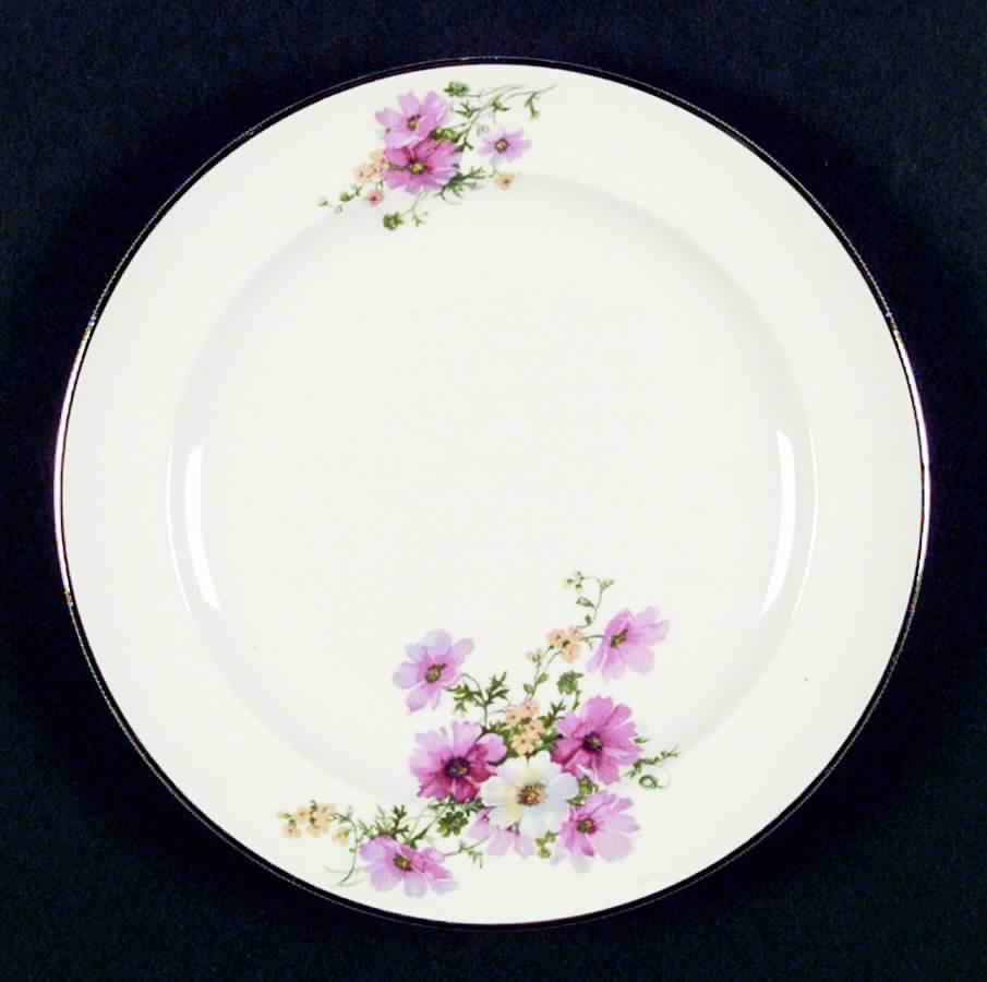 W2133 Dinner Plate by Homer Laughlin -1