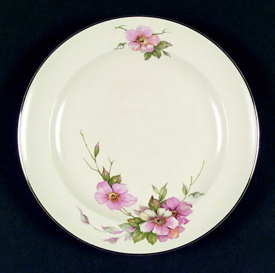 W7133 Dinner Plate by Homer Laughlin -1