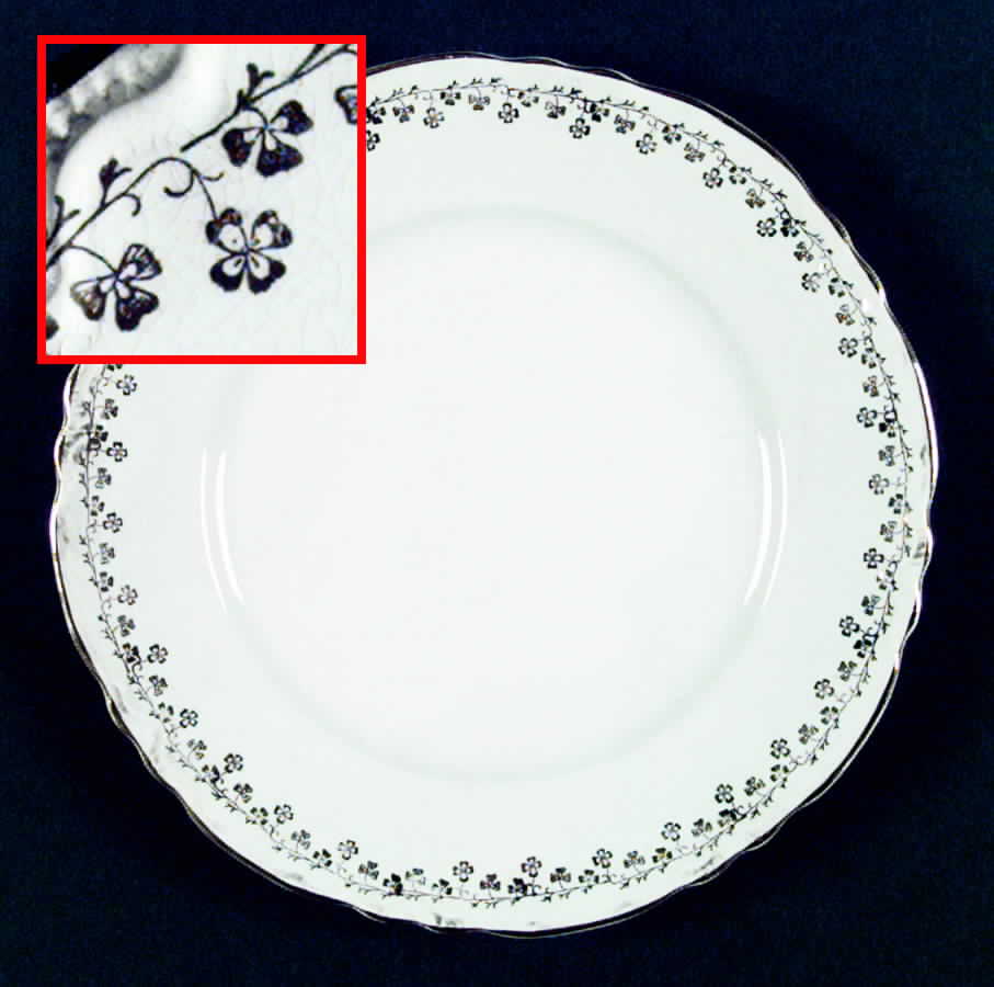 5801 Dinner Plate by Homer Laughlin -1