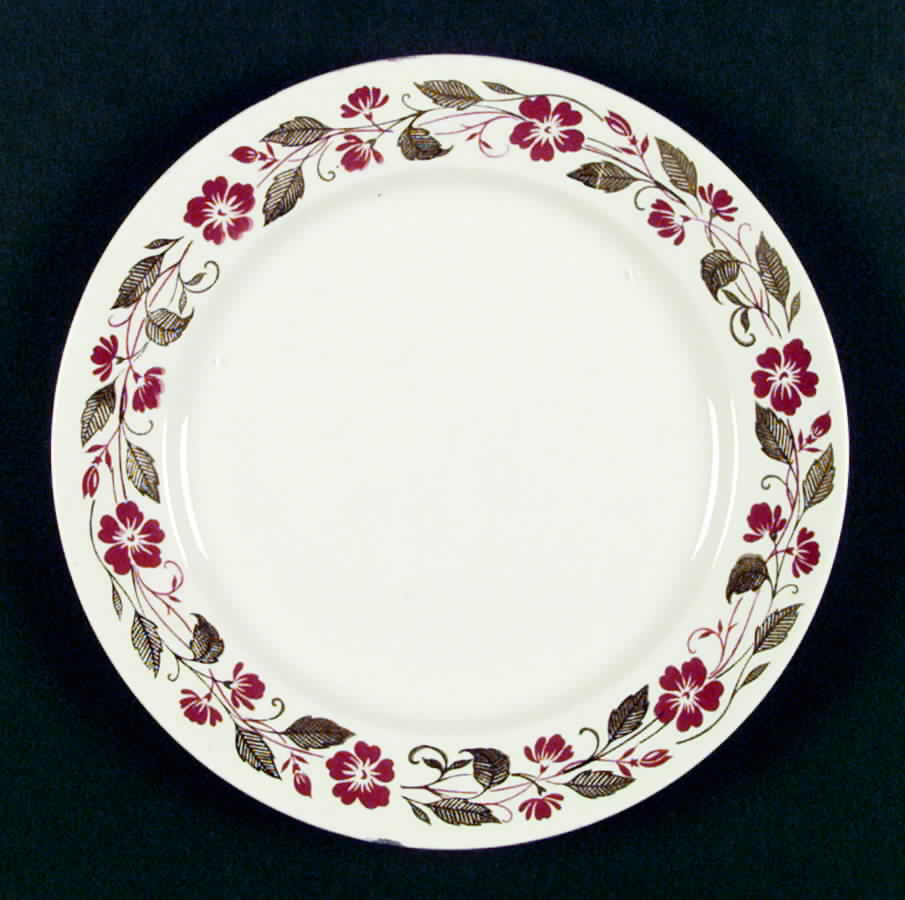 HLC1479 Dinner Plate by Homer Laughlin -1