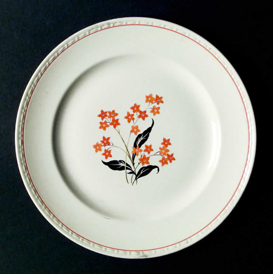 R3610a Dinner Plate by Homer Laughlin -1