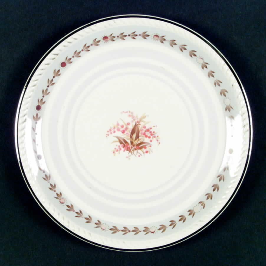 R6110 Dinner Plate by Homer Laughlin -1