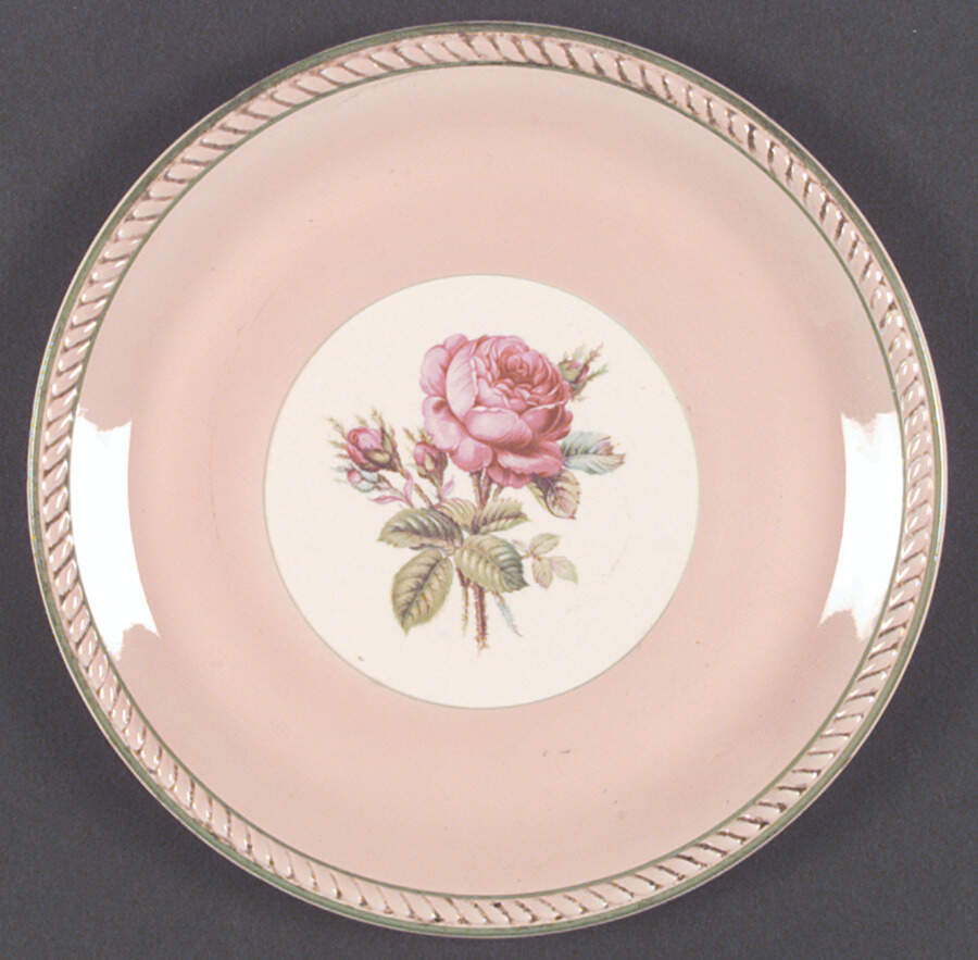 HLC1717 Dinner Plate by Homer Laughlin -1