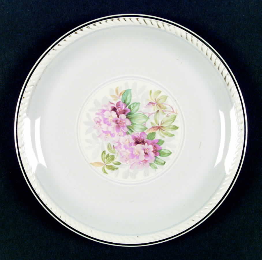 R6100 Dinner Plate by Homer Laughlin -1