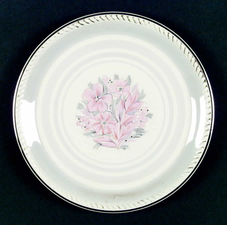R6096 Dinner Plate by Homer Laughlin -1