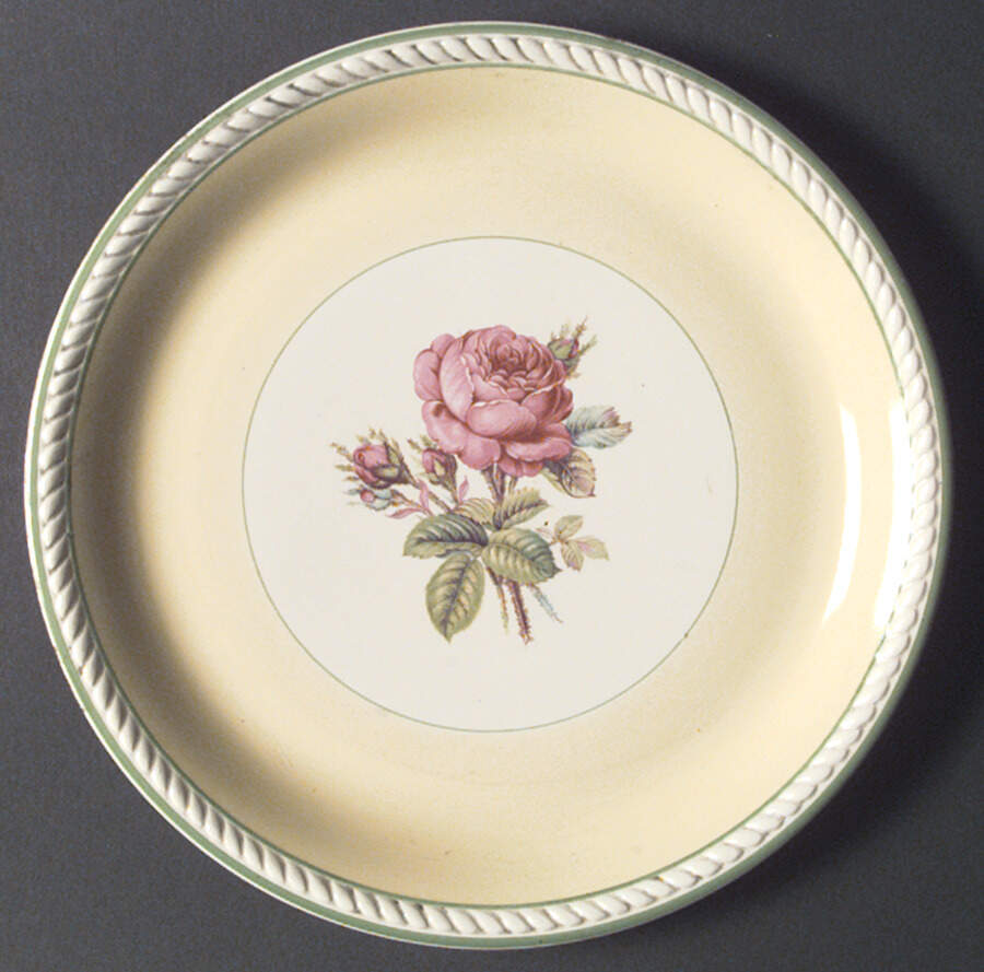 HLC1811 Dinner Plate by Homer Laughlin -1