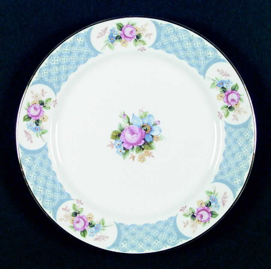 R6059 Dinner Plate by Homer Laughlin -1