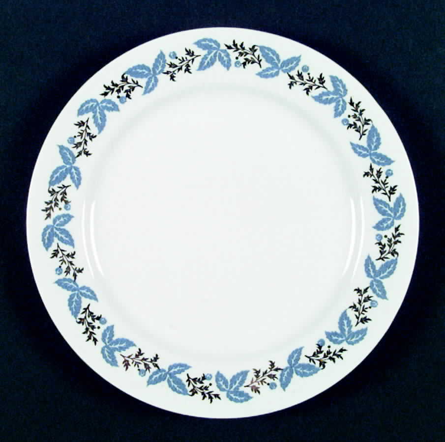 HLC1725 Dinner Plate by Homer Laughlin -1