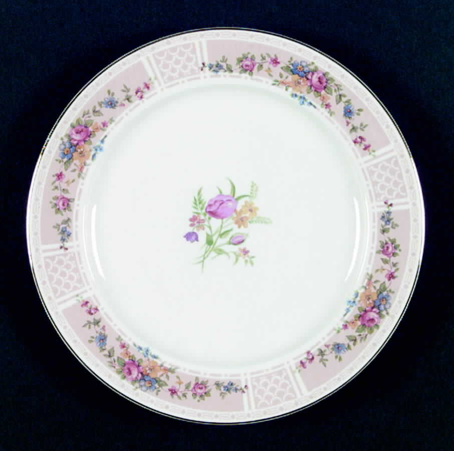 HLC1727 Dinner Plate by Homer Laughlin -1