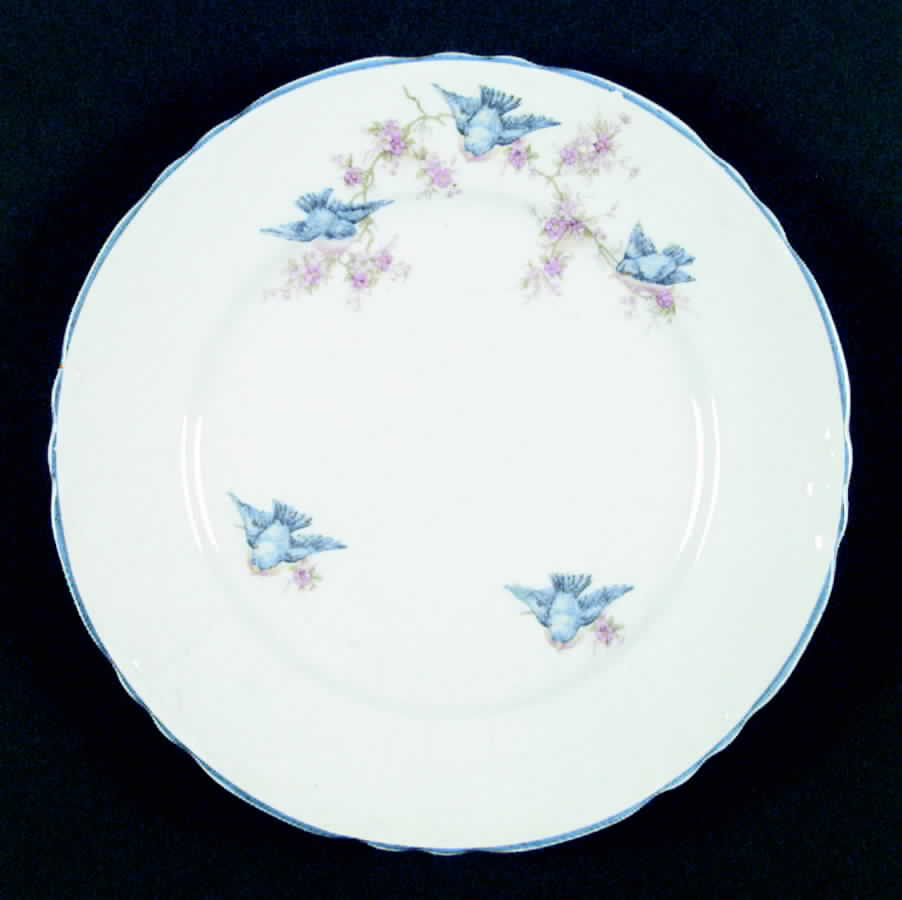 K93 Dinner Plate by Homer Laughlin -1