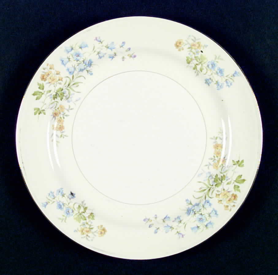 R2673 Dinner Plate by Homer Laughlin -1
