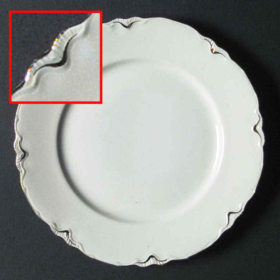 R5106 Dinner Plate by Homer Laughlin -1
