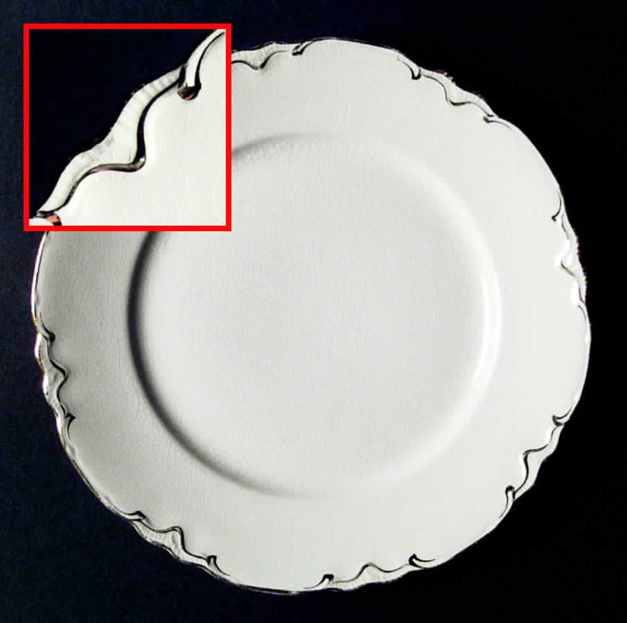 R5406 Dinner Plate by Homer Laughlin -1
