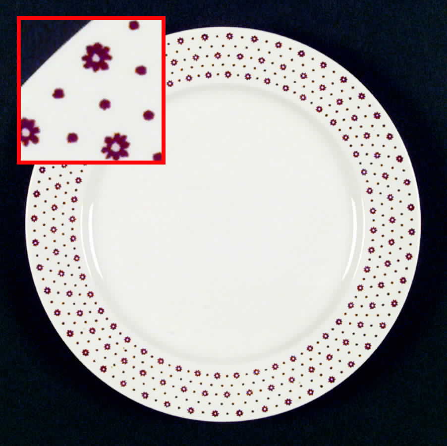 HLC1383 Dinner Plate by Homer Laughlin -1
