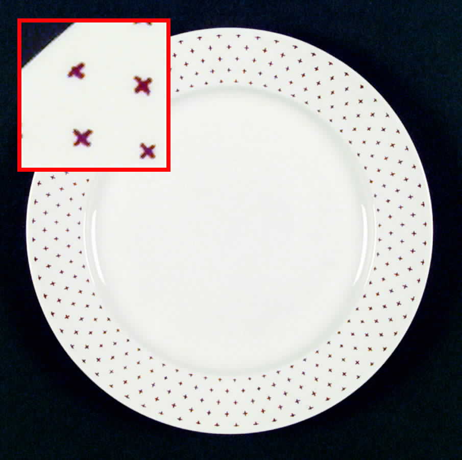 HLC1387 Dinner Plate by Homer Laughlin -1
