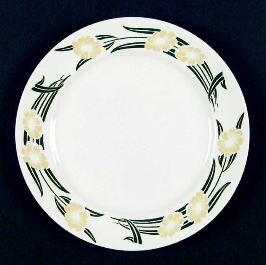 HLC1335 Dinner Plate by Homer Laughlin -1