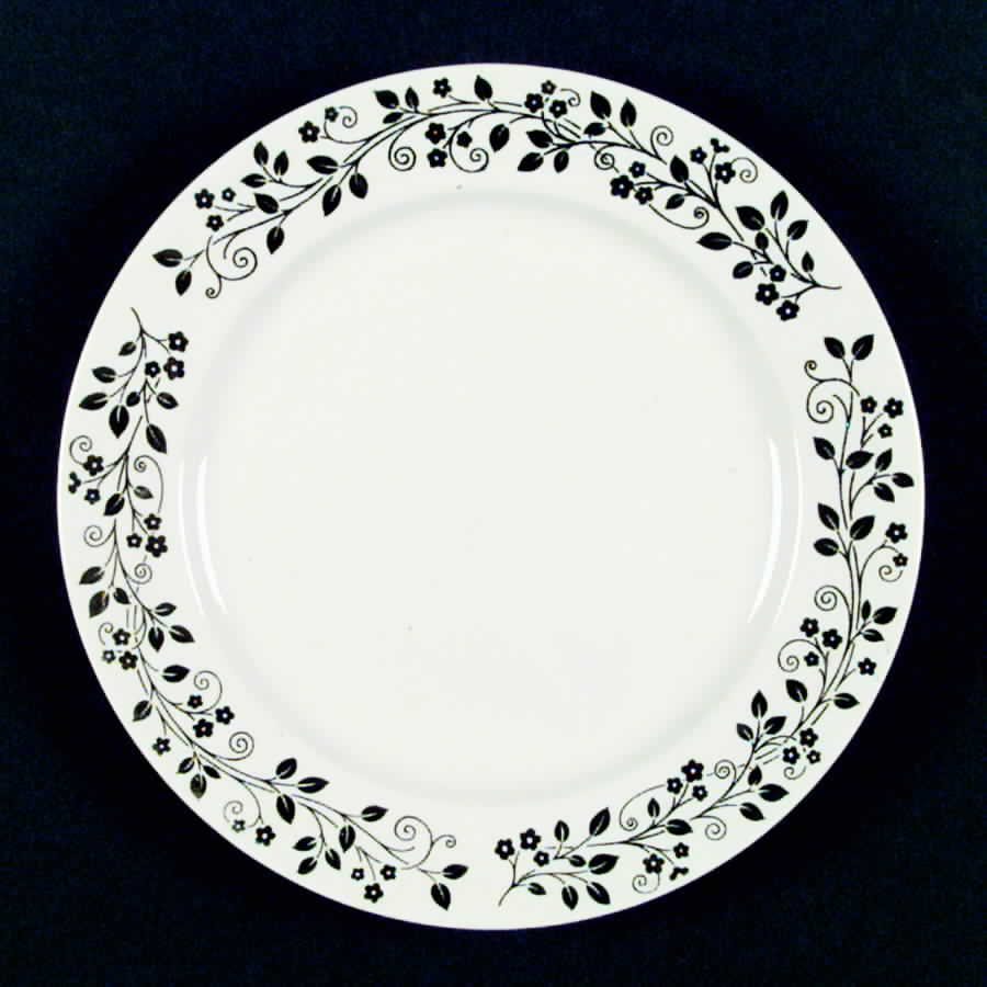 HLC1352 Dinner Plate by Homer Laughlin -1