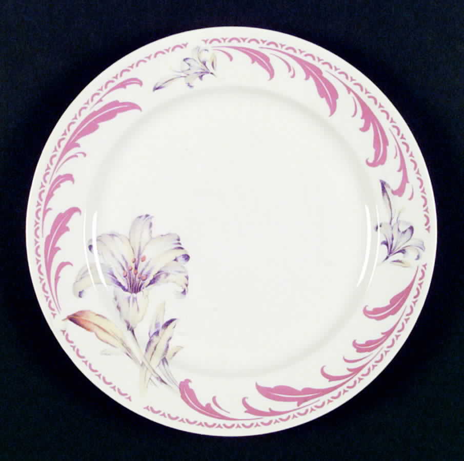 R3482a Dinner Plate by Homer Laughlin -1