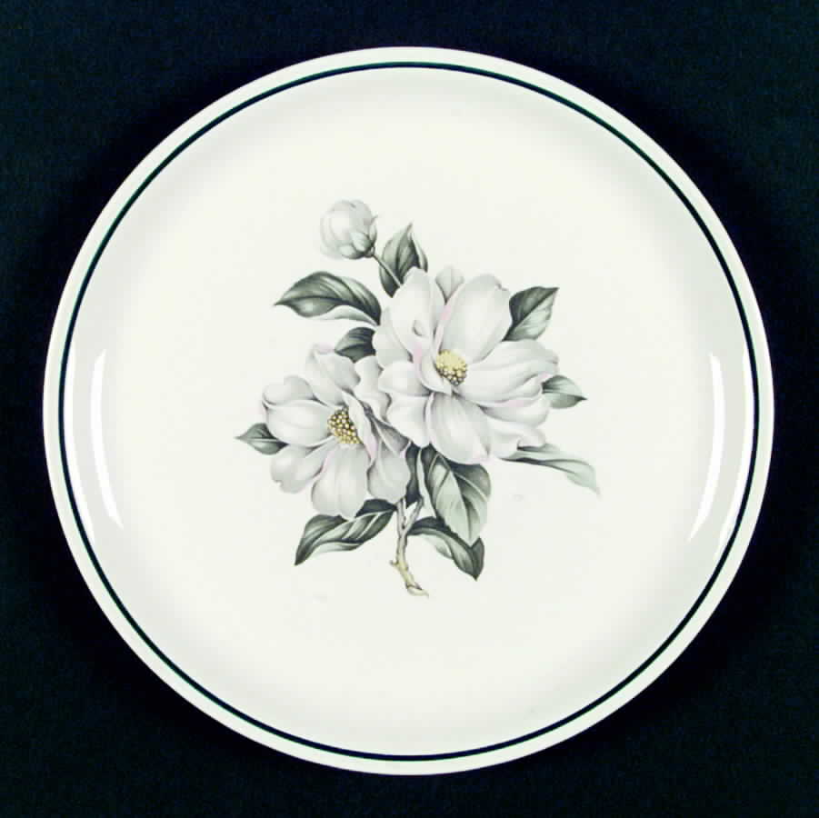 D16 Dinner Plate by Homer Laughlin -1