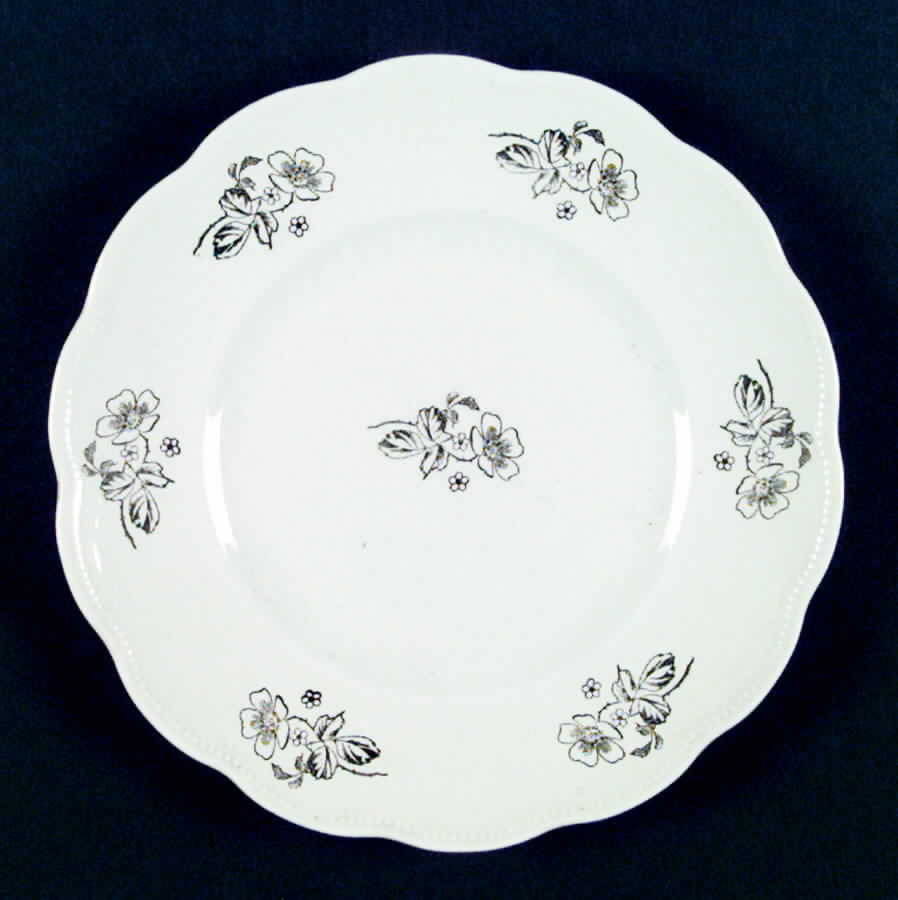 W7s Dinner Plate by Homer Laughlin -1