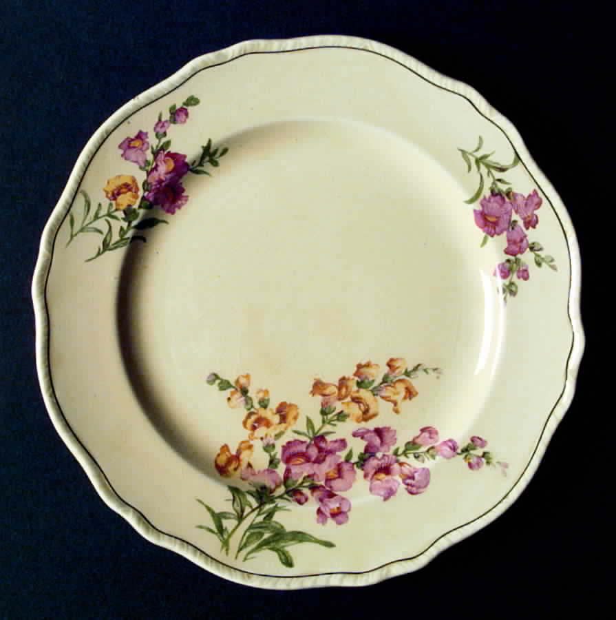 N6528 Dinner Plate by Homer Laughlin -1