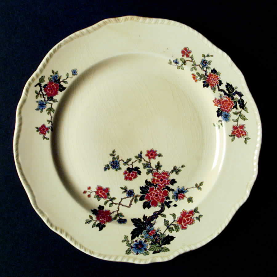 N3628 Dinner Plate by Homer Laughlin -1