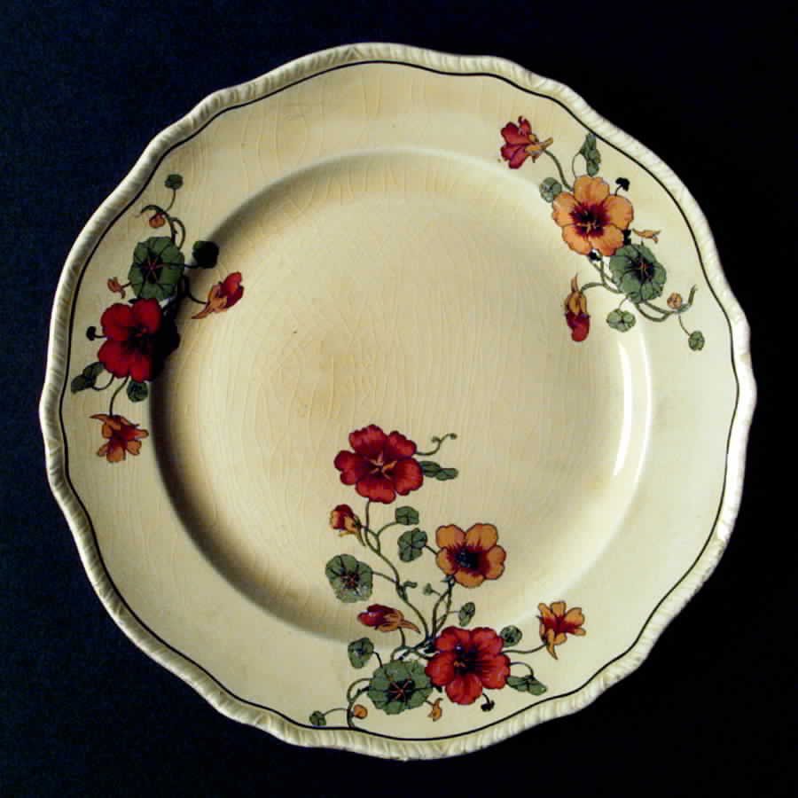 N5428 Dinner Plate by Homer Laughlin -1
