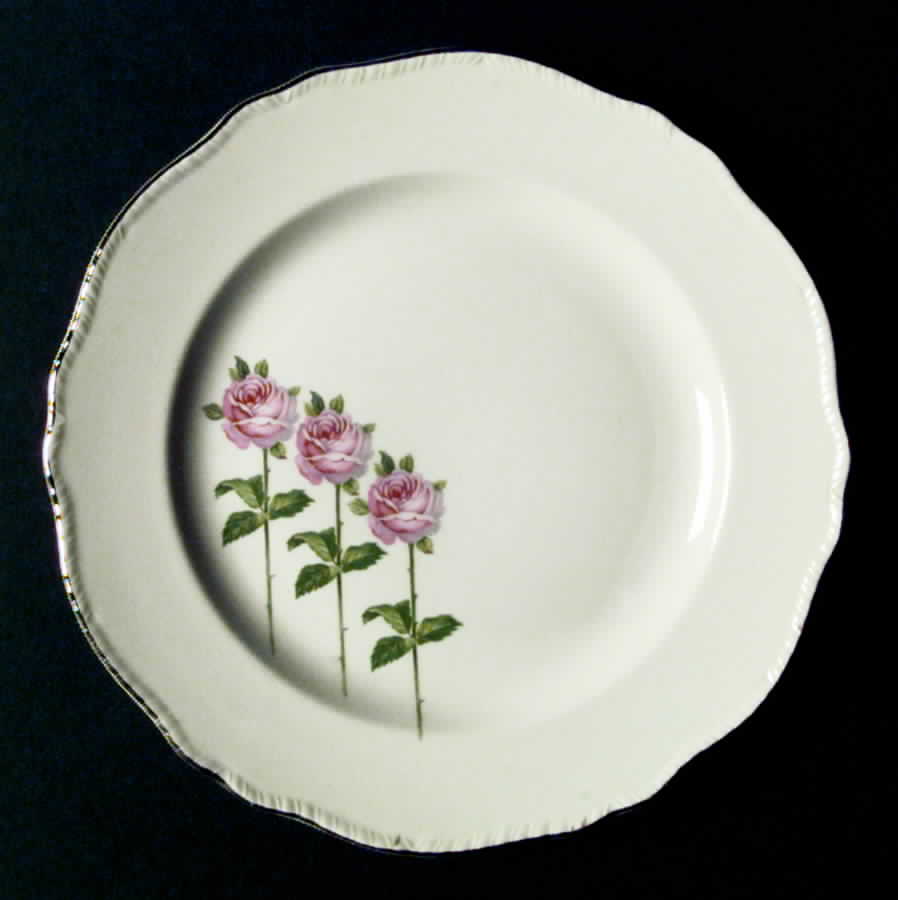 N4143 Dinner Plate by Homer Laughlin -1