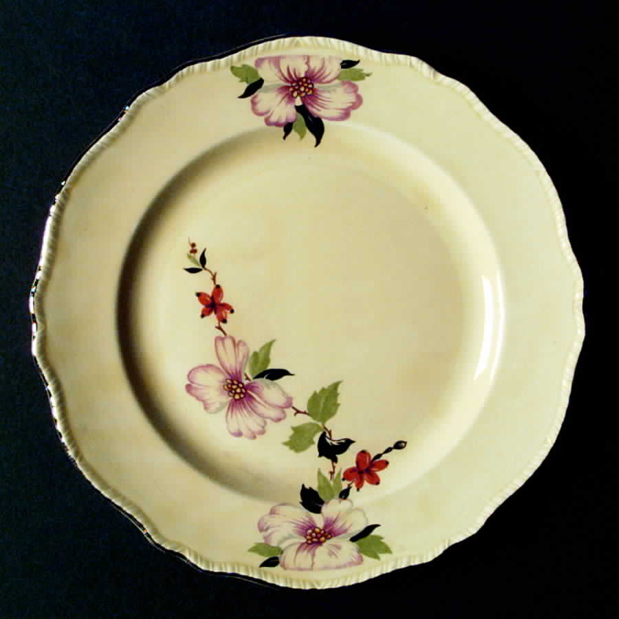 N6928 Dinner Plate by Homer Laughlin -1