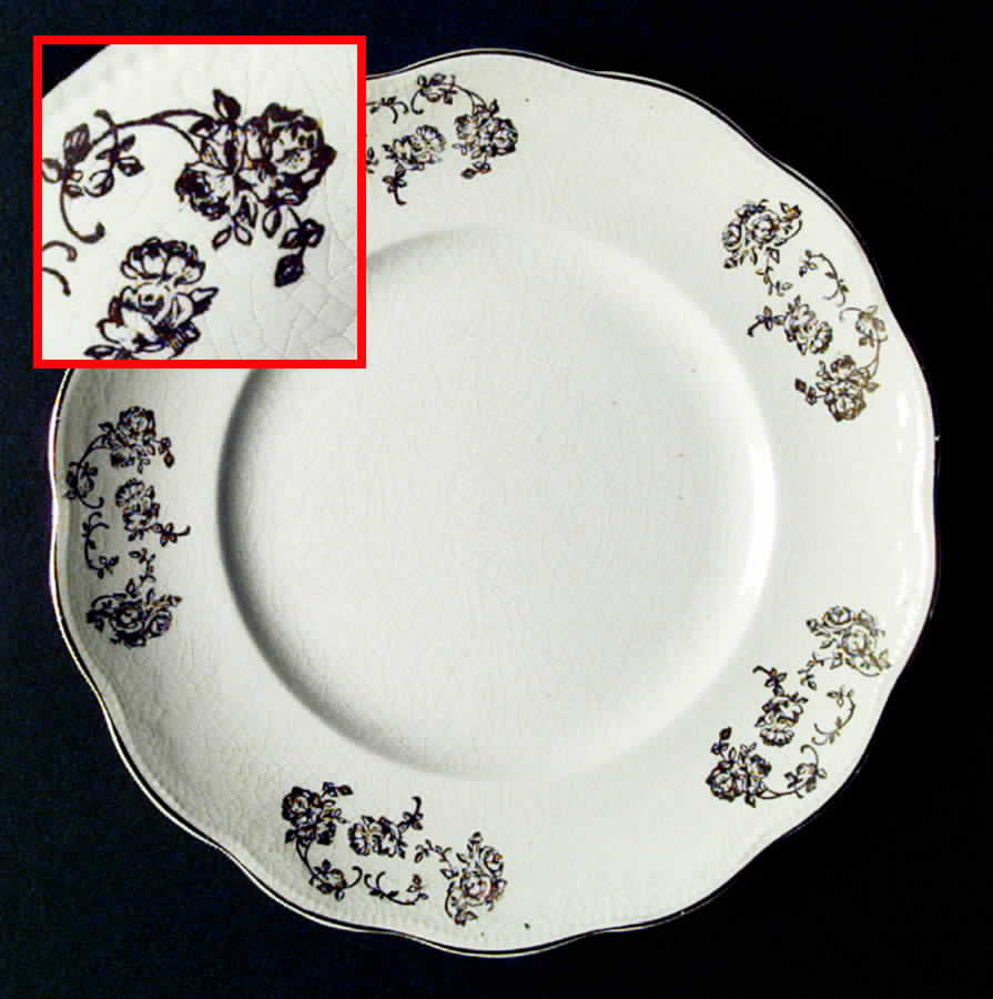 HLC1836 Dinner Plate by Homer Laughlin -1