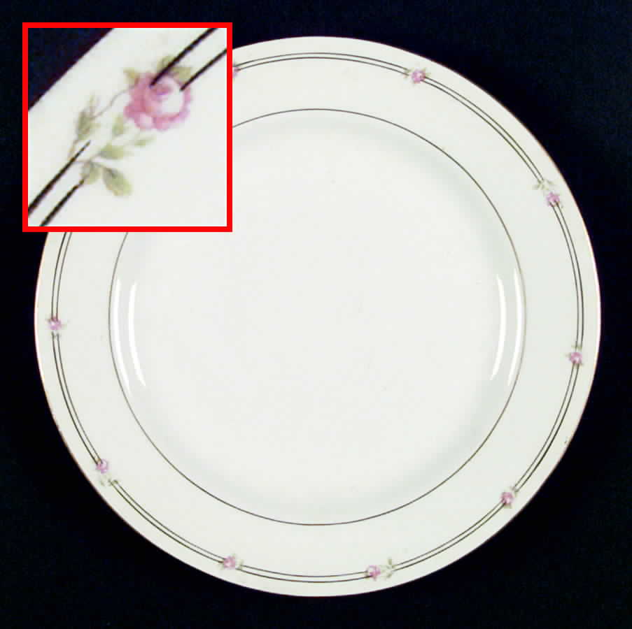 G1206 Dinner Plate by Homer Laughlin -1