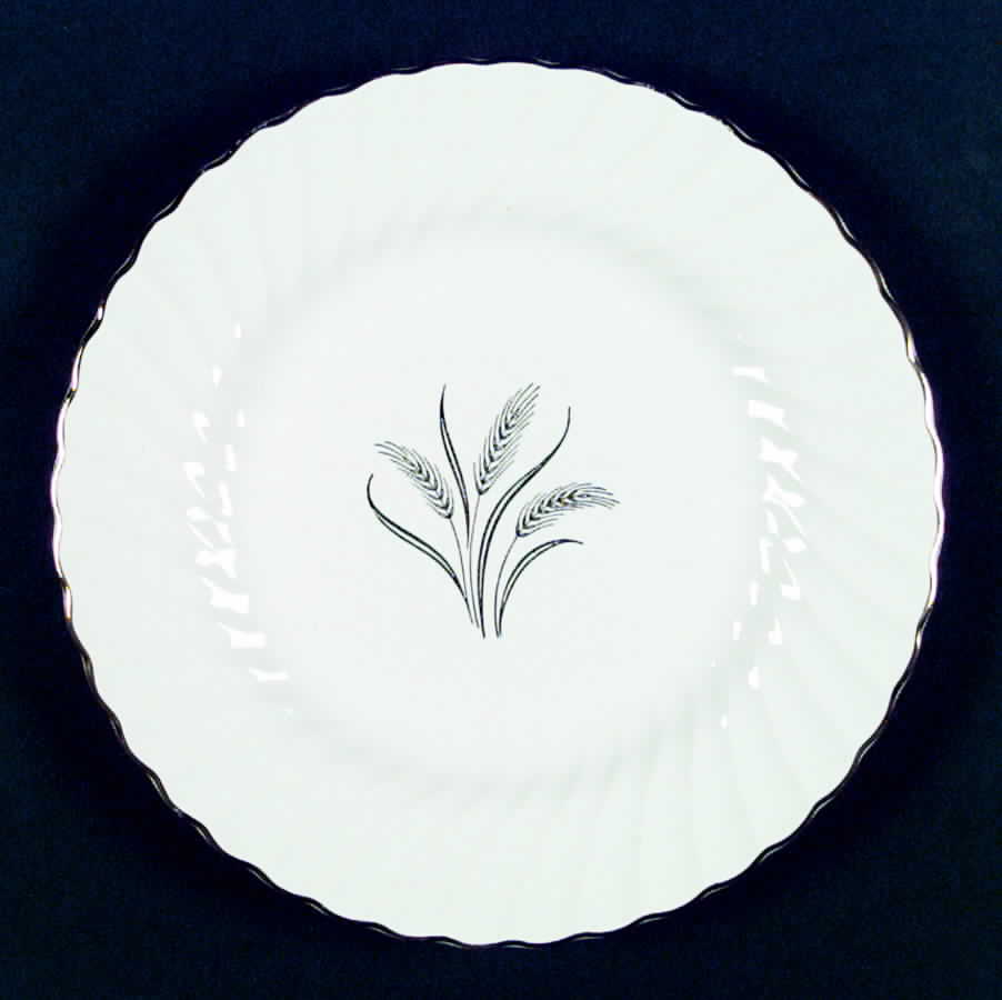 HLC1794 Dinner Plate by Homer Laughlin -1