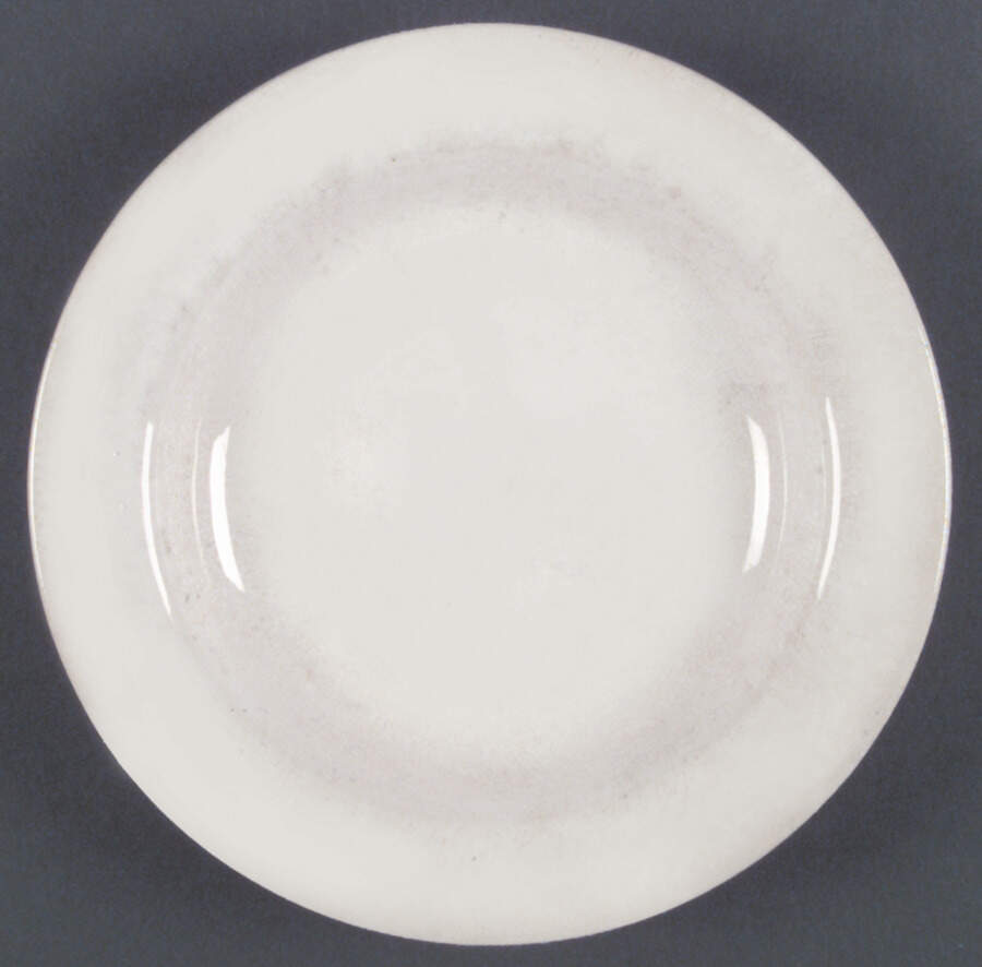 HLC1799 Dinner Plate by Homer Laughlin -1