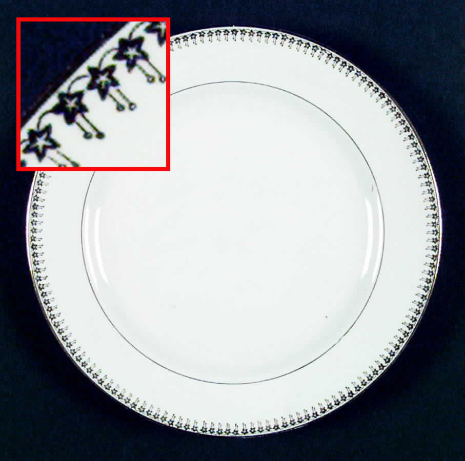 G300 Dinner Plate by Homer Laughlin -1