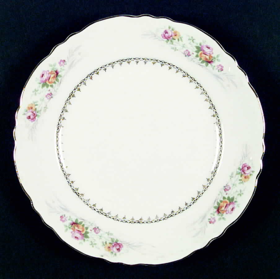 HLC1891 Dinner Plate by Homer Laughlin -1