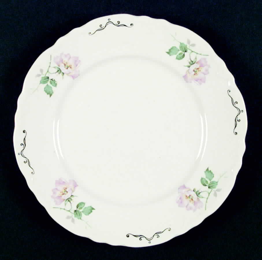HLC1892 Dinner Plate by Homer Laughlin -1