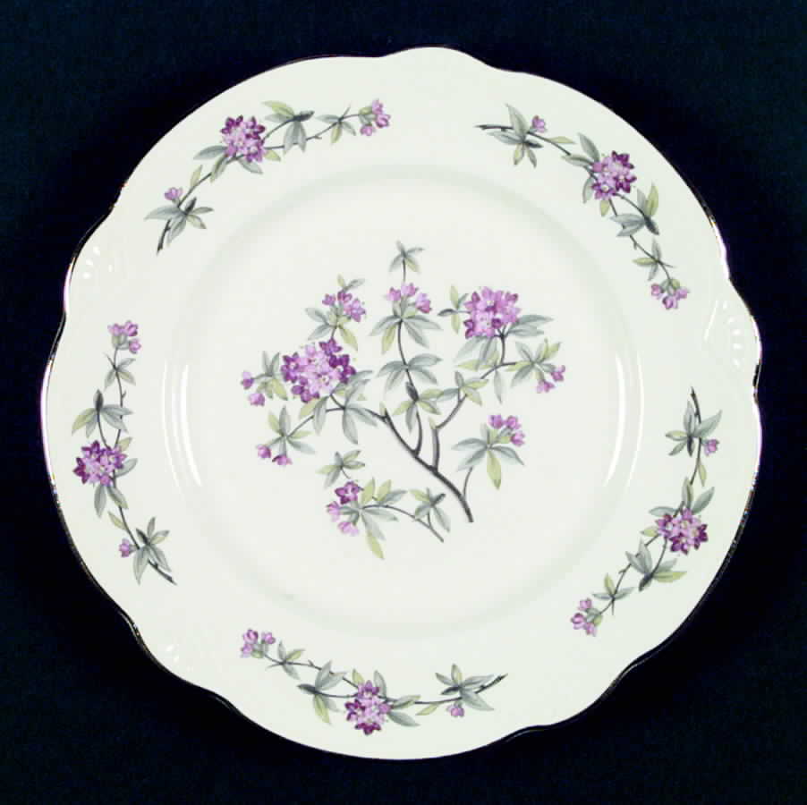 HLC1894 Dinner Plate by Homer Laughlin -1