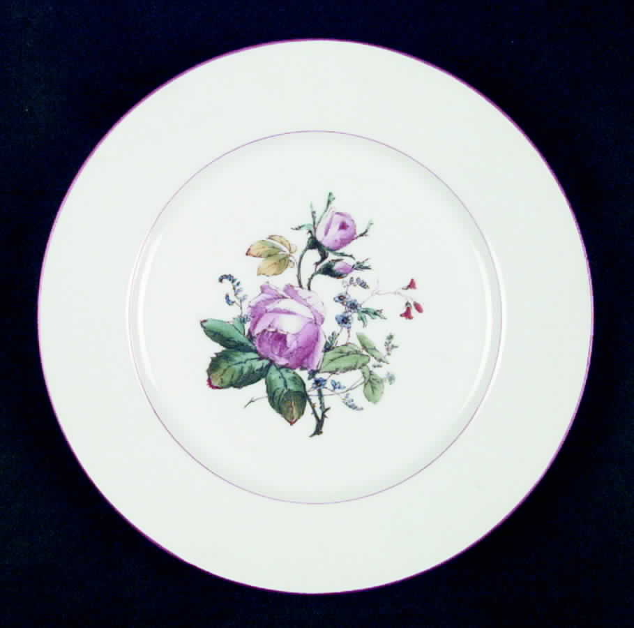 H1381 Dinner Plate by Haviland-1
