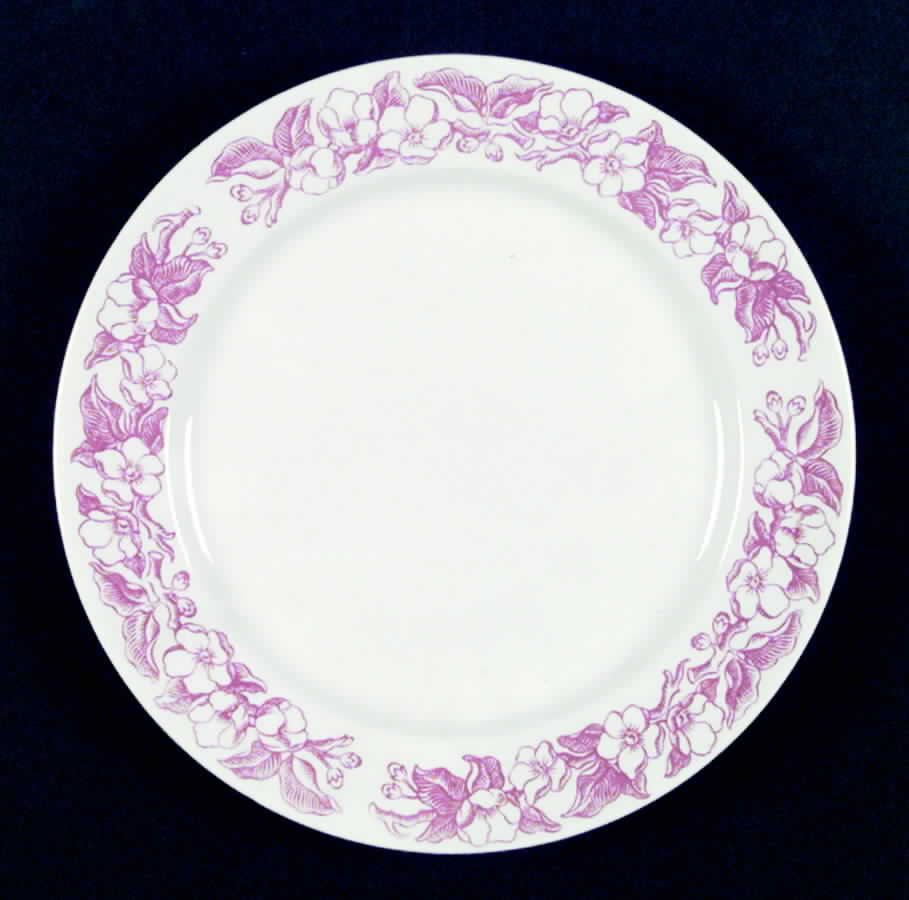 HLC1949 Dinner Plate by Homer Laughlin -1