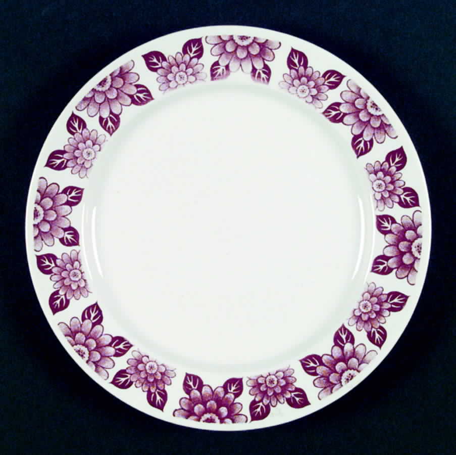 HLC1955 Dinner Plate by Homer Laughlin -1